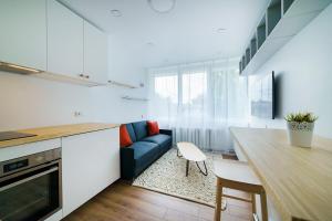 Stylish Studio in Vilnius III