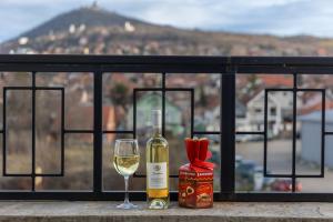 Hotel Helvecija 1880