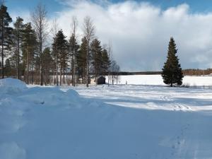 Mursuaho family stay