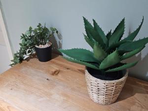 Beautiful Rooms on the Joseph Boulevard