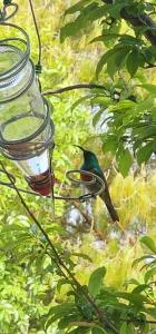 Labacht Home - with The View - Belfast