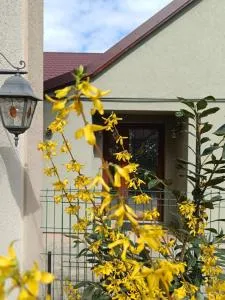 Casa Letea - Fratelia