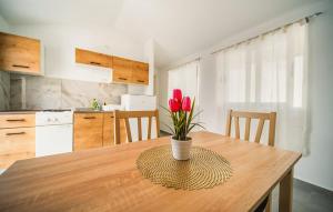 4 Bedroom Beach Front Home In Pupnat