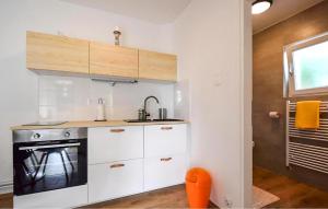 1 Bedroom Amazing Apartment In Cizici