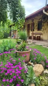 Madárfészek Vendégház - Nagykörů