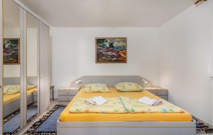 Cozy Apartment In Selce With Wifi 