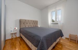 Awesome Apartment In Novalja With Wifi 