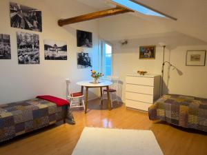 Kulttuurimiljöö järven rannassa