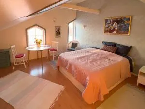 Kulttuurimiljöö järven rannassa - 卡里纳