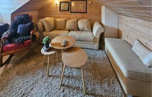 Nice Home In Rjukan With Wifi