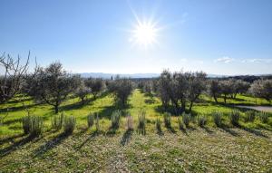 Nice Apartment In Terranuova Bracciolini