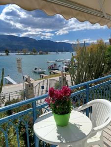 Vassias B rooms