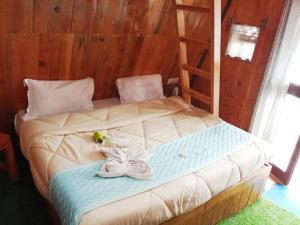 Cloud 9 cottages