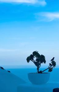 Villa Kastelli88 Santorini Pyrgos