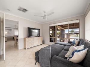 Private Jetty Dolphins Family Pets-Canal Life