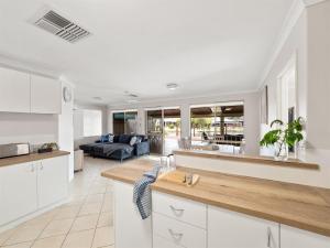 Private Jetty Dolphins Family Pets-Canal Life