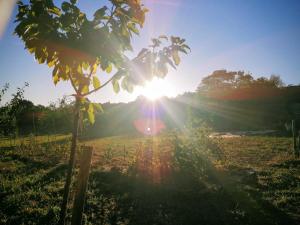 Le Temps Serein Chambre et Table dHote