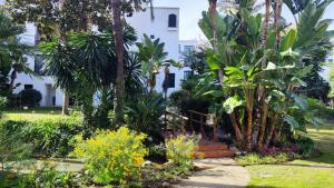 Luxury Penthouse in the heart of Puerto Banús