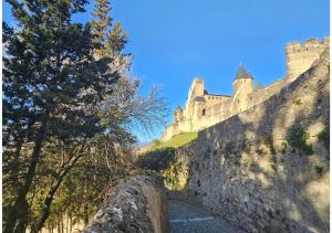 Appartements CITE MEDIEVALE- LE REMP'ART - Tout Confort - Acces direct pietons - parking gratuit : photos des chambres