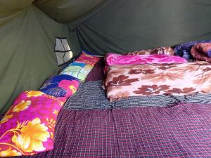 Himalayan Hill Camps By StayApart