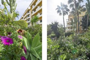 SDA Donana Puerta3 PL 4 I