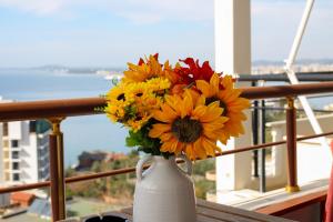 Vlora Sunset Apartment