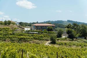 Casa de Algar - Enoturismo