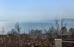 Nice Home In Ebeltoft With Sauna