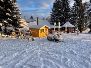 Chalet on Pohorje hill Maribor bike park next to the downhill track 
