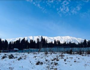 Forest Block Cottages