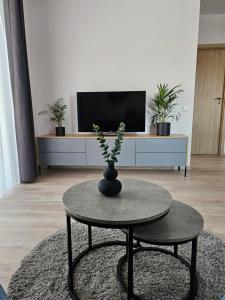 Vilniaus apartamentai