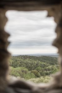 Raval de la Font, 5 17781 Vilamaniscle, Girona, Spain.