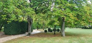 Appartements Appartement Duplex Rez Jardin : photos des chambres