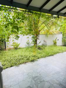 Green Palace Mirissa