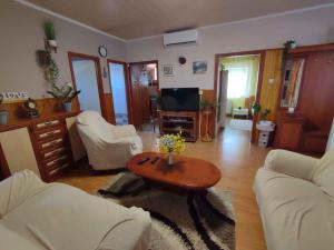 Apartments in Siofok - Balaton 45812