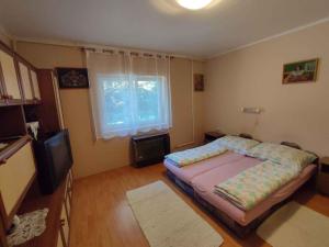 Apartments in Siofok - Balaton 45812
