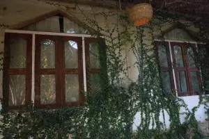 Backpackers eco village - Japur