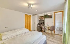 Lovely Apartment In Bischofsheim With Wifi - 伦山前比绍夫斯海姆