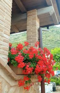 Agriturismo Il Casale Dei Gelsi