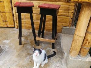 Hostal & Dormitorio Buena Onda