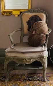 B&B / Chambres d'hotes Chateau Ciers : photos des chambres
