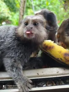 Pousada VillaBahia - Valença