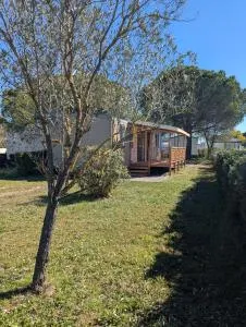 Mobil-home sous les pins dans camping 4 étoiles LAC DES REVES, toutes activités, au bord de l'étang - 佩罗勒