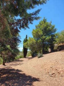 SARDINIA RE - Green Val