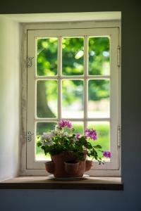 Pet friendly, spacious farmhouse on the Courtomer Estate, Normandy