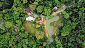 Cabañas Cumarú Jungle Lodge