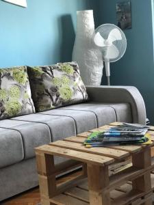 Recently renovated ROOM,not the whole apartment,with Danube view