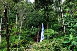 Karadikallu Homestay - Private Waterfalls, Hill Top, Home Food