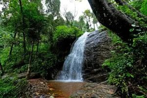 Karadikallu Homestay with Private Waterfalls - Arehalli