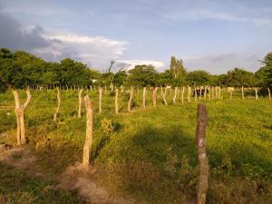 Casa Campestre Rancho 75 Eco Park